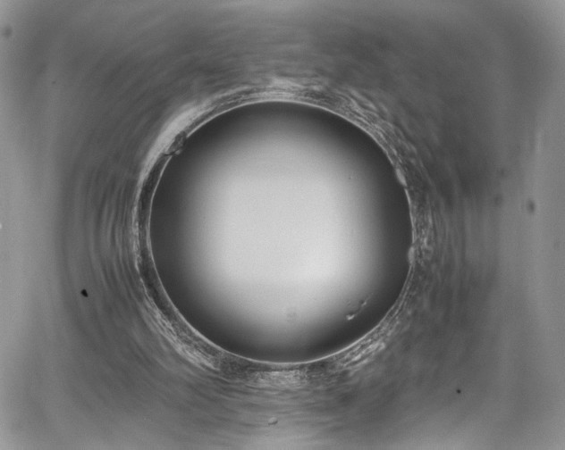 X0000067950102200604171445