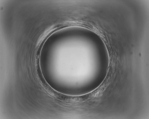 X0000067950103200604171445