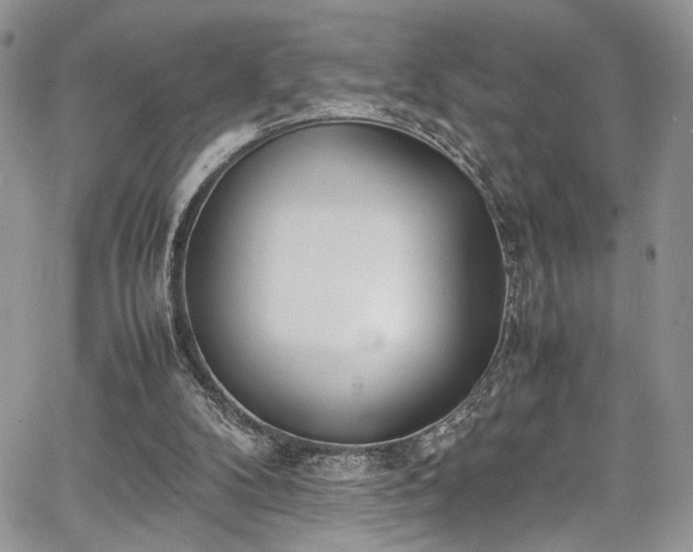 X0000067950104200604171445