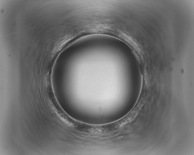 X0000067950105200604171445