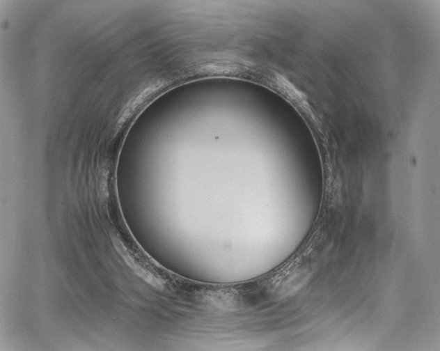 X0000067950106200604171445