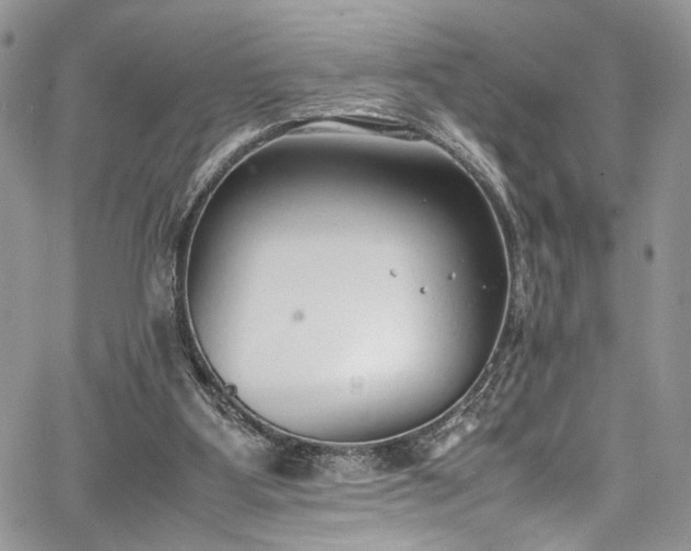 X0000067950107200604171445