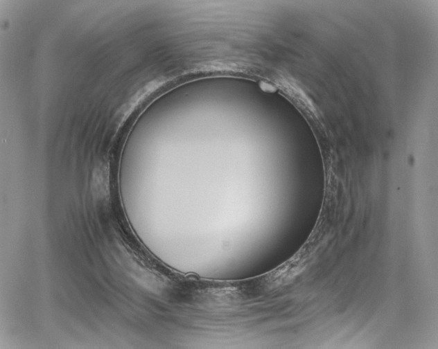 X0000067950108200604171445