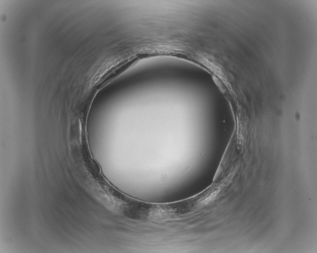 X0000067950109200604171445