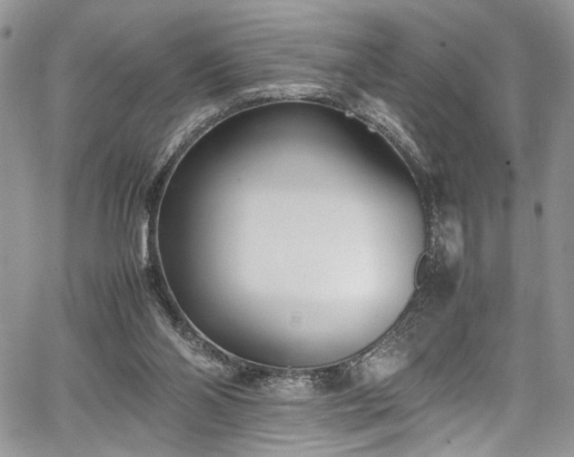 X0000067950110200604171445