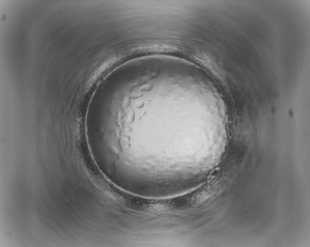 X0000067950111200604171445