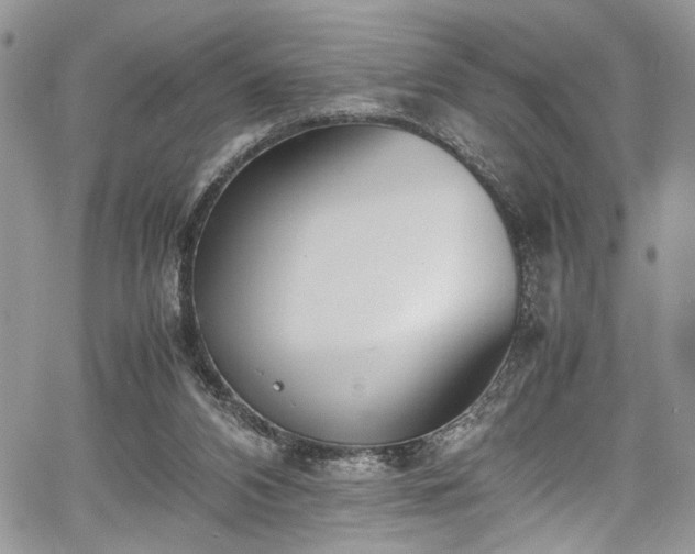 X0000067950112200604171445