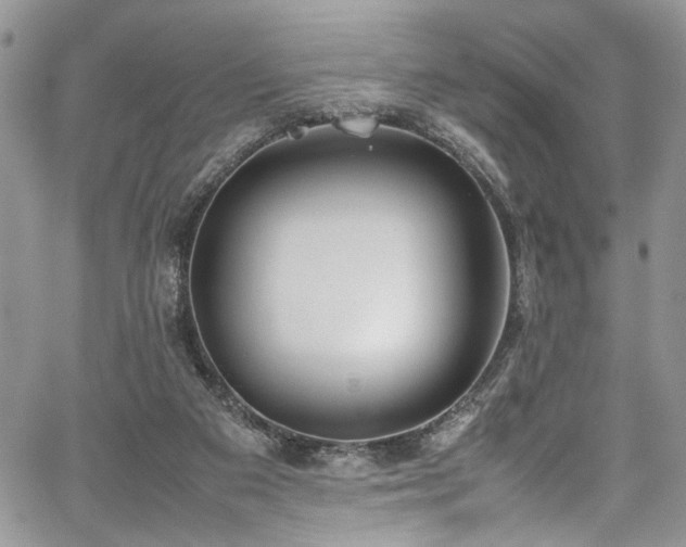 X0000067950113200604171445