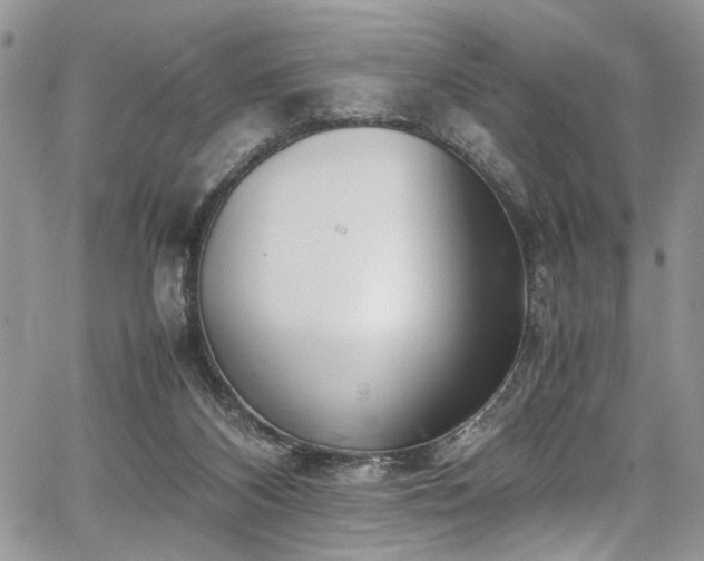 X0000067950116200604171445