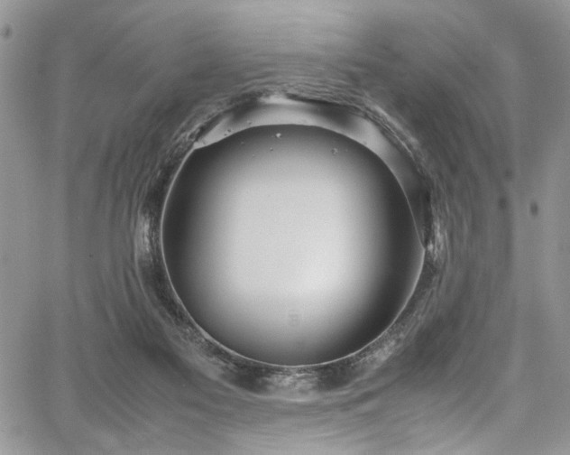 X0000067950117200604171445