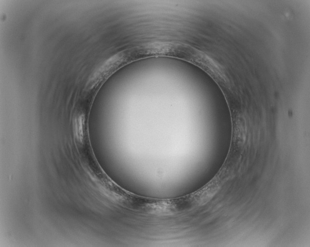 X0000067950118200604171445