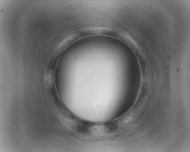 X0000067950119200604171445