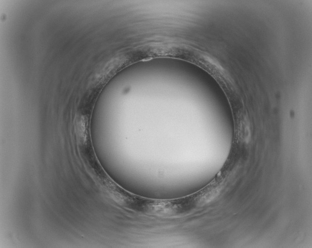 X0000067950121200604171445