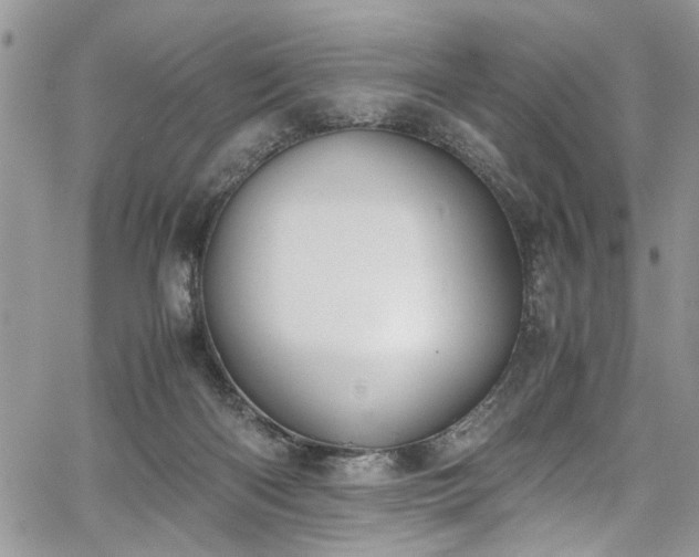 X0000067950122200604171445