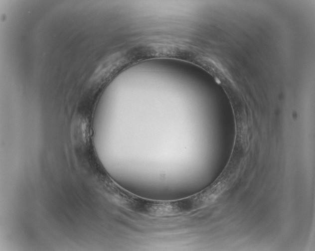 X0000067950123200604171445