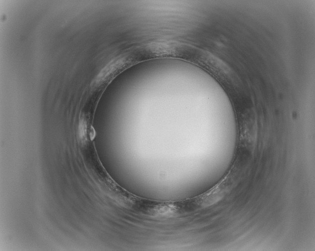 X0000067950124200604171445