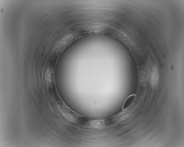 X0000067950126200604171445