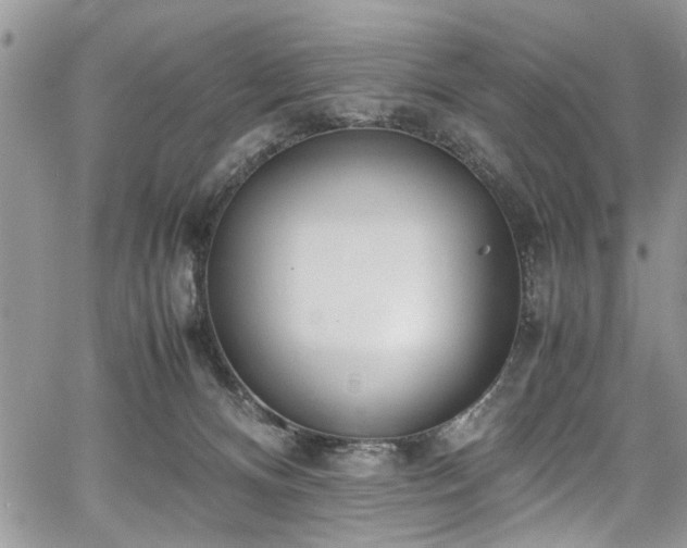 X0000067950128200604171445