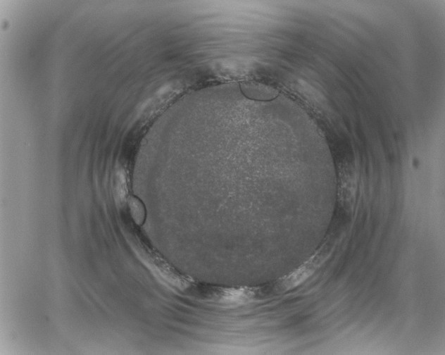 X0000067950130200604171445