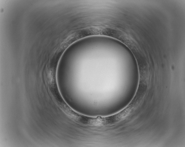 X0000067950131200604171445