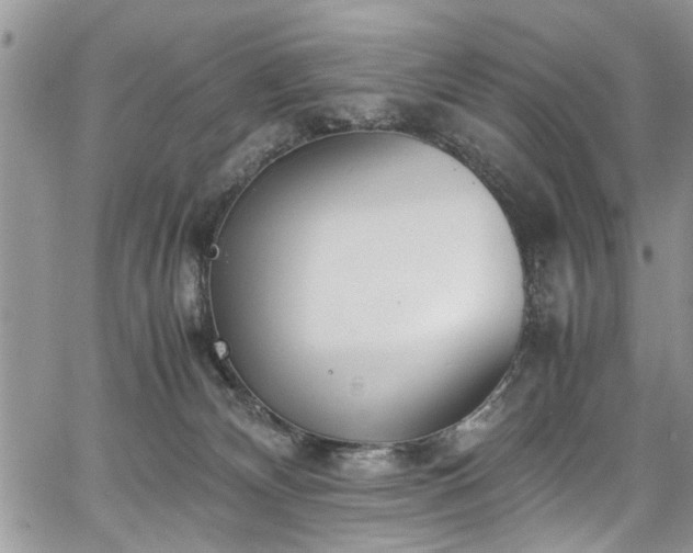 X0000067950132200604171445