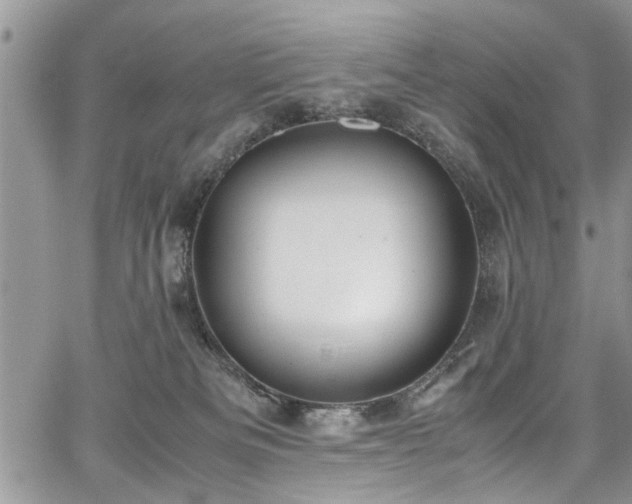 X0000067950133200604171445