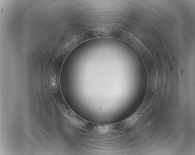 X0000067950134200604171445