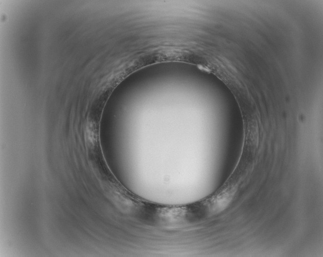 X0000067950135200604171445