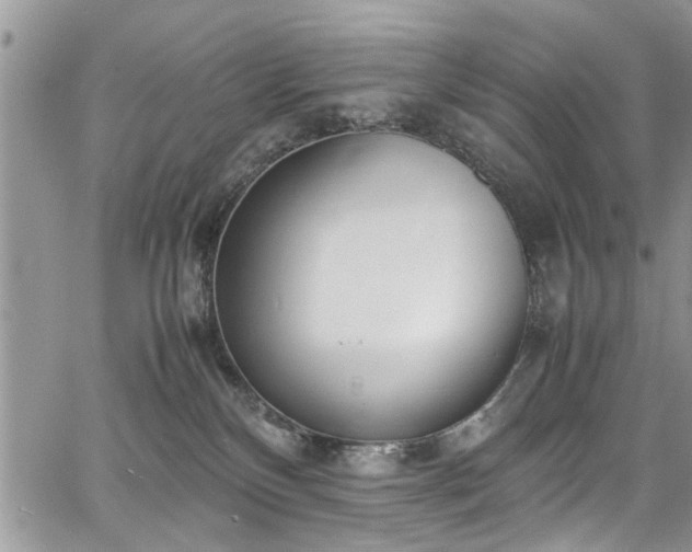 X0000067950136200604171445