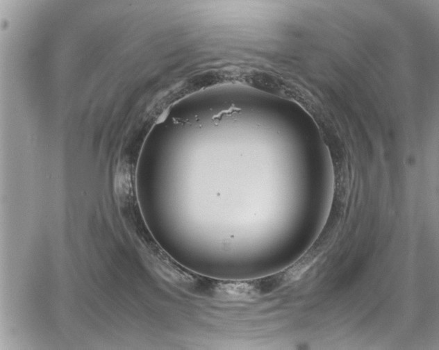 X0000067950137200604171445