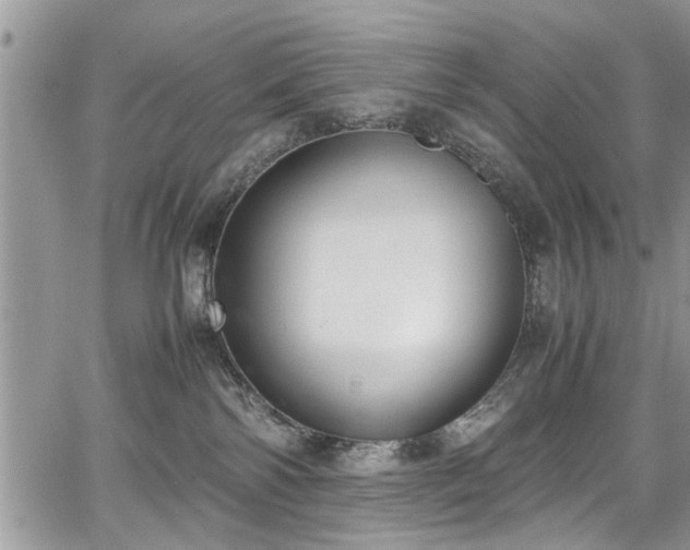 X0000067950138200604171445