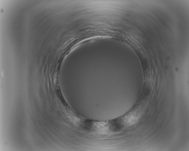 X0000067950139200604171445