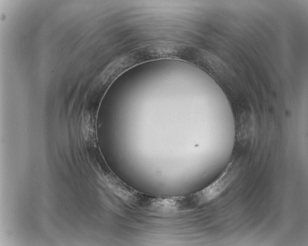 X0000067950140200604171445