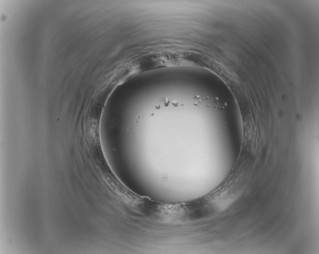 X0000067950141200604171445