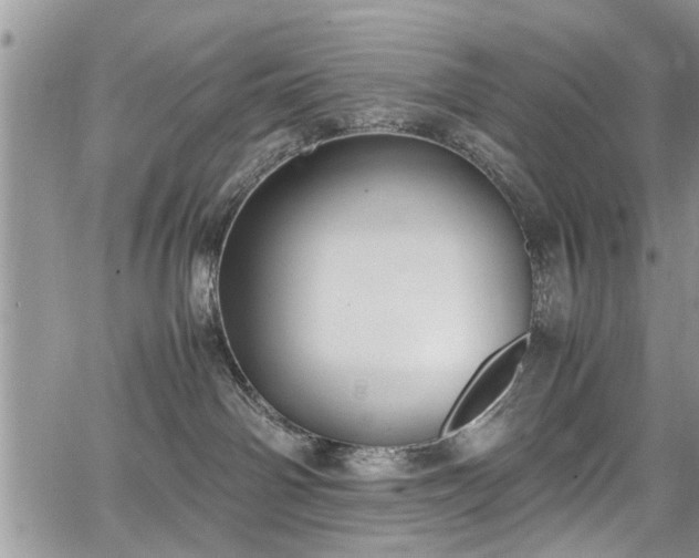 X0000067950142200604171445