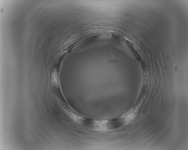 X0000067950143200604171445