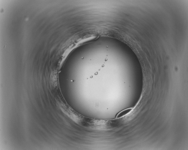 X0000067950144200604171445