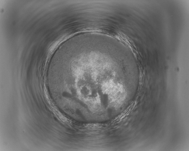 X0000067950145200604171444