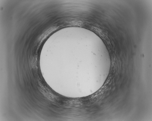 X0000067950146200604171444