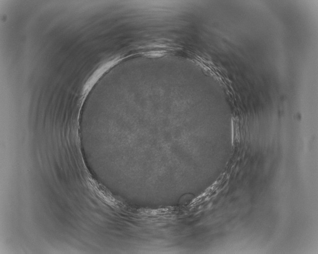 X0000067950147200604171444