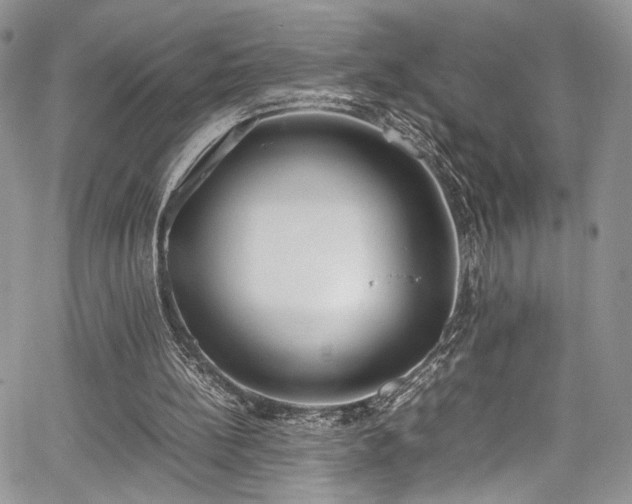 X0000067950148200604171444