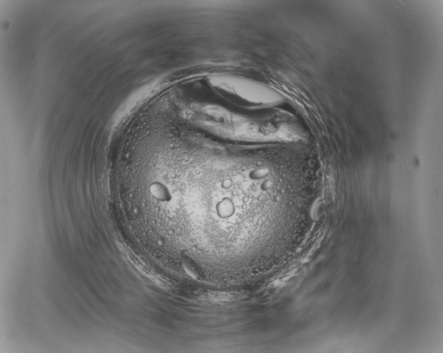 X0000067950149200604171444