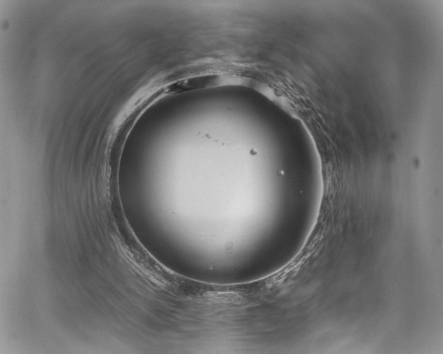 X0000067950150200604171444