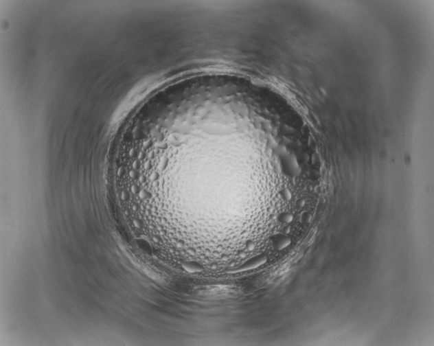 X0000067950151200604171444