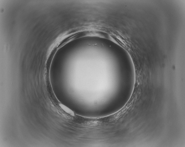 X0000067950152200604171444