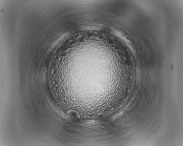 X0000067950153200604171444