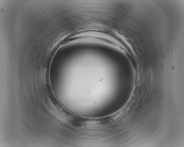 X0000067950154200604171444