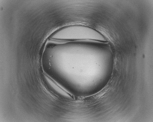 X0000067950156200604171444