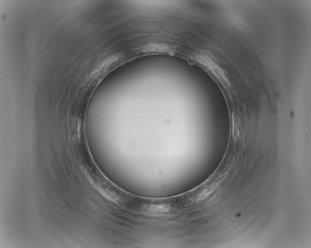 X0000067950157200604171444