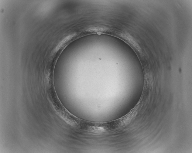 X0000067950159200604171444